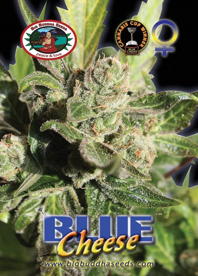 (image for) Blue Cheese