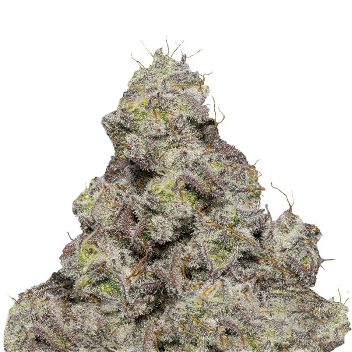 (image for) Blue Forest Berry