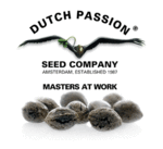 (image for) Dutch Passion