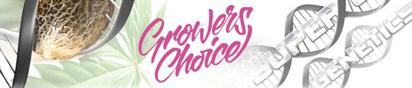 (image for) Growers Choice