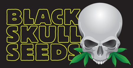 (image for) Black Skull Seeds