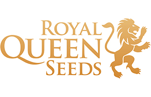 (image for) Royal Queen Seeds