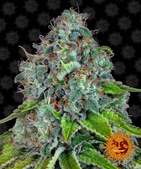 (image for) Strawberry Lemonade